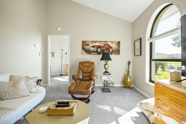 sitting room with carpet floors and high vaulted ceiling