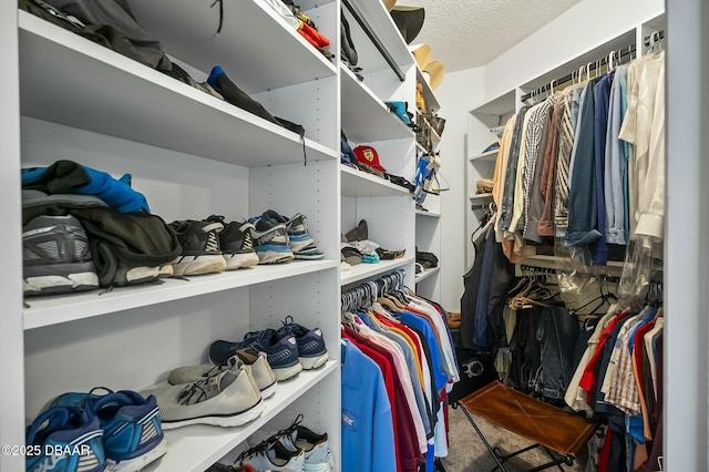 spacious closet with carpet