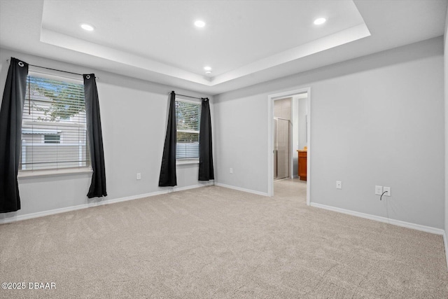 spare room with light colored carpet, a raised ceiling, and a wealth of natural light