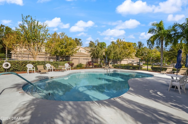 view of pool with a patio area