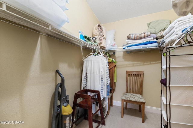 view of walk in closet