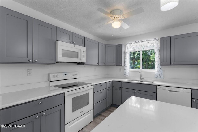 kitchen with gray cabinets, sink, dark wood-type flooring, white appliances, and ceiling fan