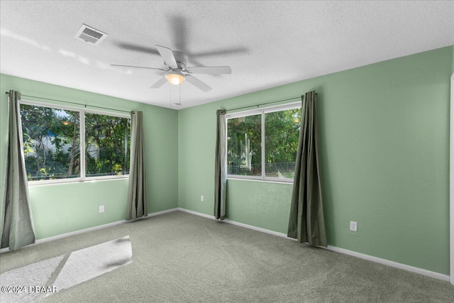 empty room featuring carpet, plenty of natural light, and a textured ceiling