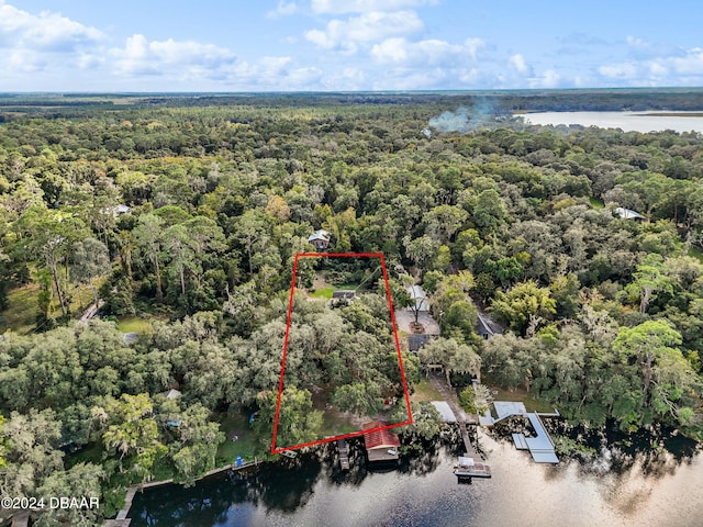 115 Jim Smith Dr, Hawthorne, FL 32640 - photo 3