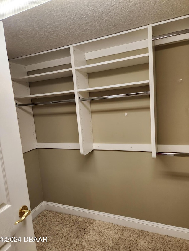 walk in closet with carpet flooring