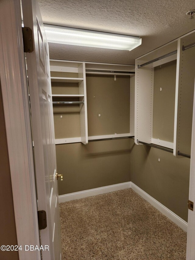 spacious closet featuring carpet floors