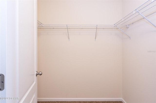 spacious closet with carpet floors