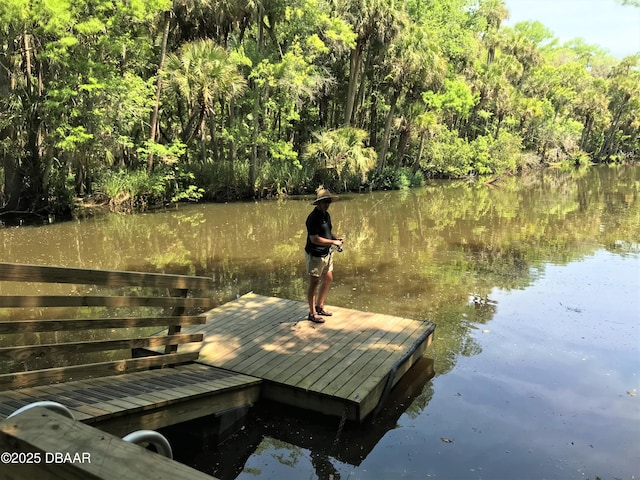 dock area featuring a view of trees and a water view