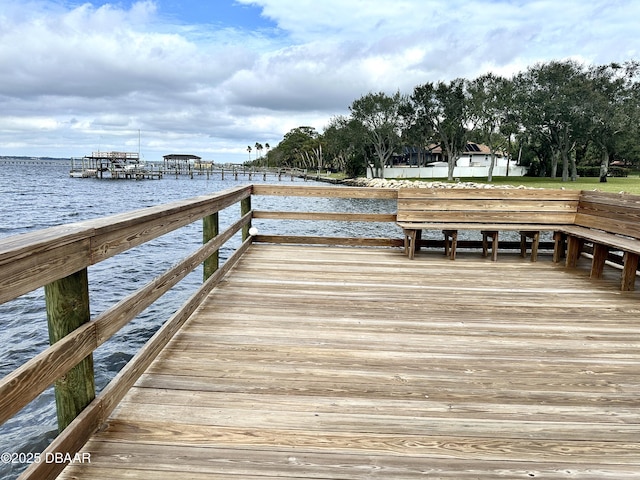 dock area with a water view