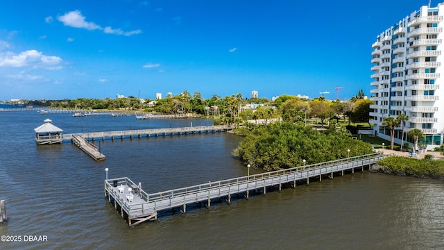 dock area with a water view