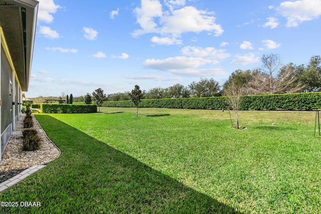 view of yard