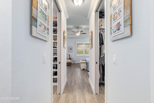 hallway featuring light hardwood / wood-style flooring