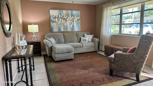 living area featuring crown molding