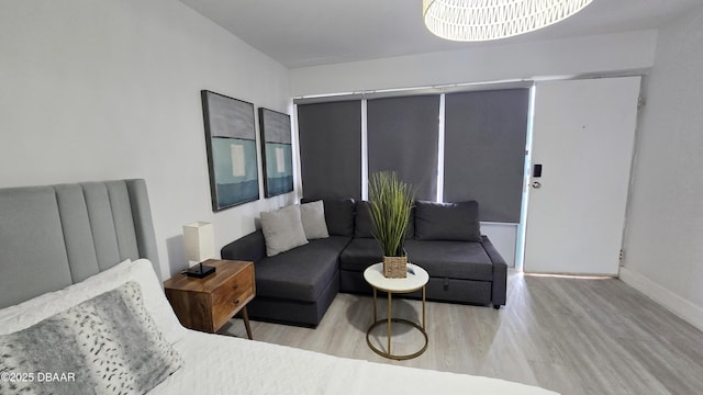 living room featuring light hardwood / wood-style flooring