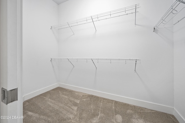 walk in closet with carpet