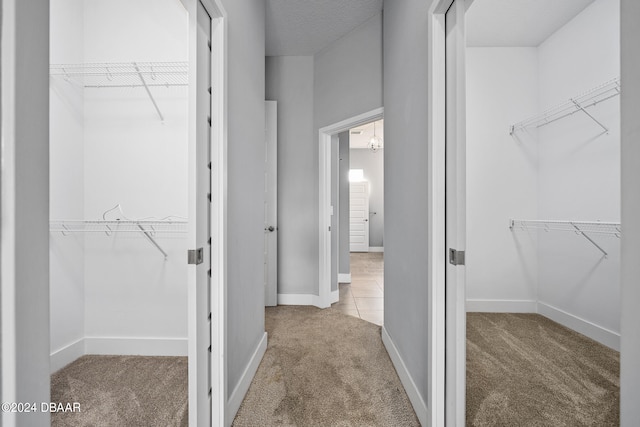 walk in closet featuring light colored carpet