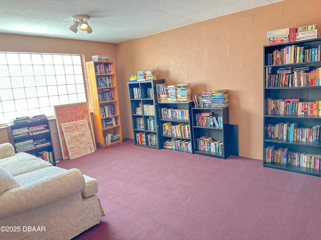 sitting room featuring a textured ceiling, a textured wall, and carpet flooring