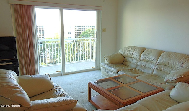 100 Silver Beach Ave Unit 710, Daytona Beach, FL 32118 - living room with carpet flooring