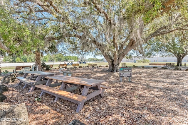 2017 Cornell Pl, Port Orange, FL 32128 - view of yard