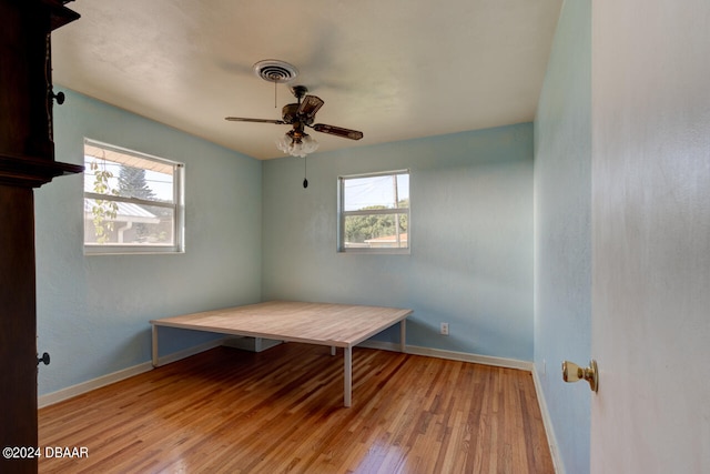 home office with a wealth of natural light, ceiling fan, and light hardwood / wood-style floors