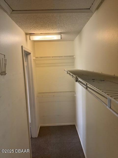 1401 S Palmetto Ave Unit 714, Daytona Beach, FL 32114 - photo 24