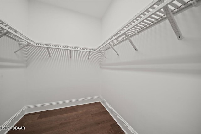 43 Del Palma Dr, Palm Coast, FL 32137 - walk in closet with dark wood-style floors
