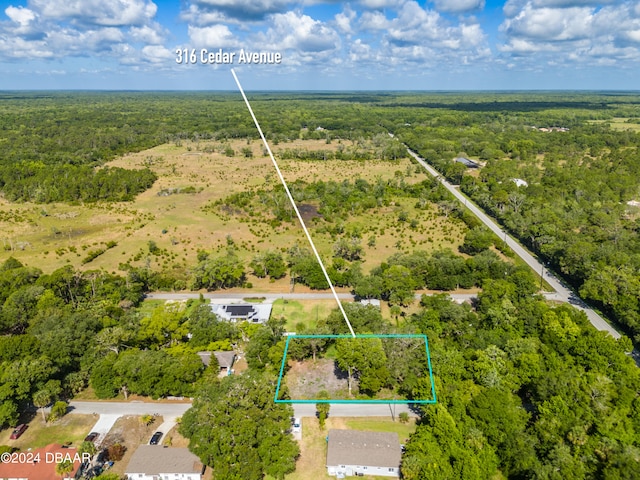 316 Cedar Ave, Oak Hill FL, 32759 land for sale