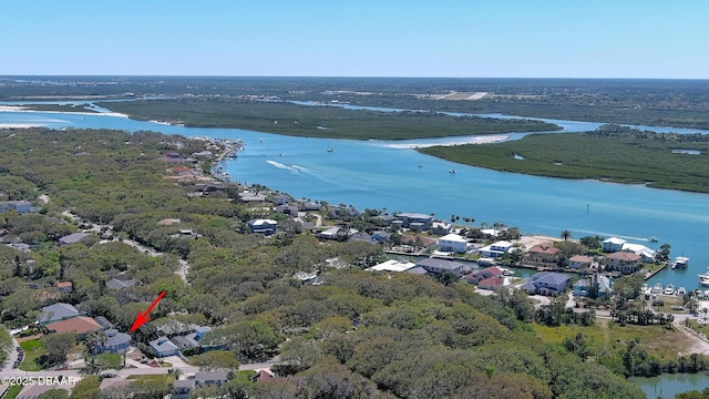87 Buschman Dr, Ponce Inlet, FL 32127 - photo 60