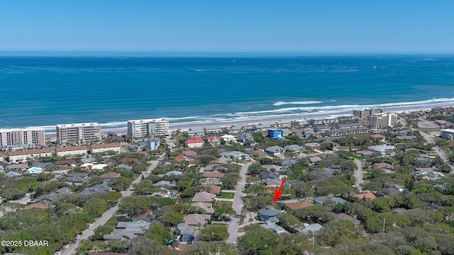 87 Buschman Dr, Ponce Inlet, FL 32127 - photo 55