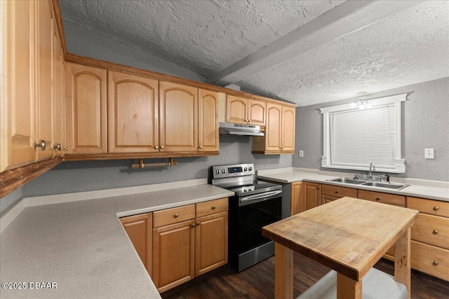 kitchen with electric stove, a sink, under cabinet range hood, light countertops, and dark wood-style floors