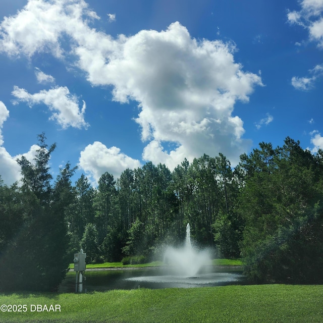 153 Orient Dr, Saint Augustine, FL 32092 - view of community with a water view and a lawn