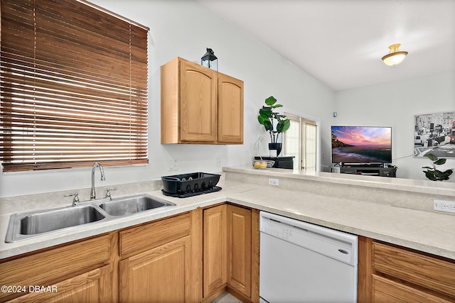 kitchen featuring dishwasher and sink