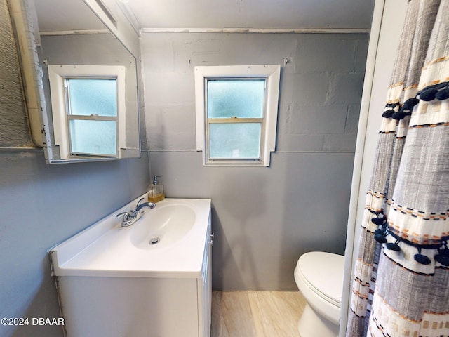 bathroom featuring vanity, hardwood / wood-style flooring, toilet, and a wealth of natural light