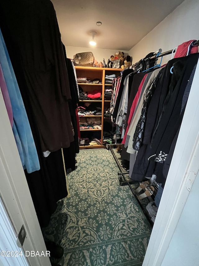 spacious closet featuring carpet floors