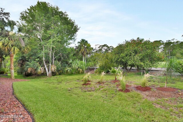 1329 Sunningdale Ln, Ormond Beach, FL 32174 - view of grassy yard