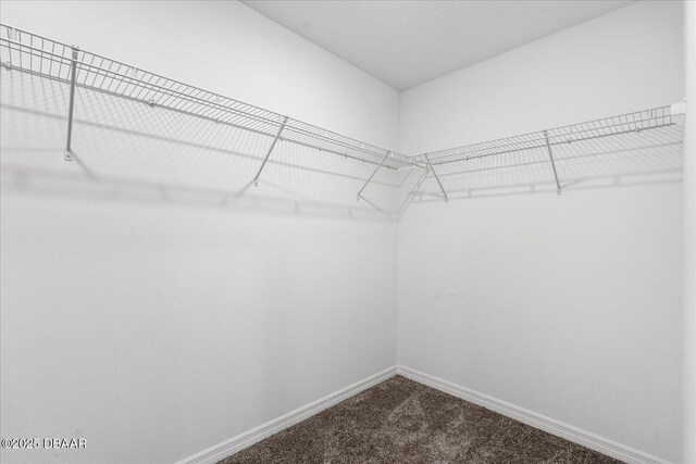 1223 Cabot Cliffs Dr, Daytona Beach, FL 32124 - walk in closet with dark colored carpet