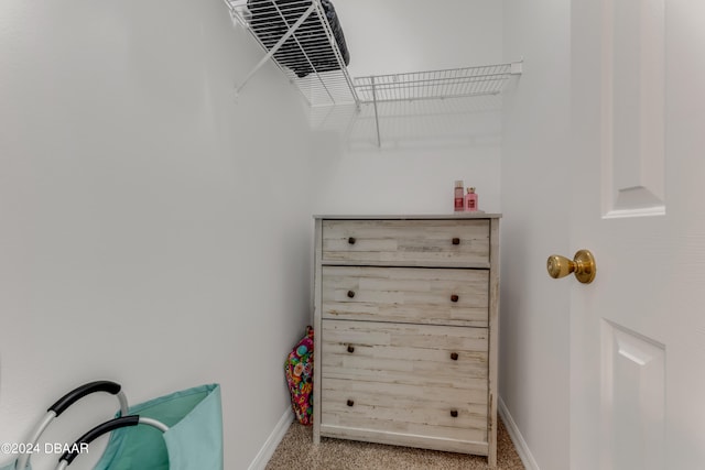 walk in closet with carpet flooring