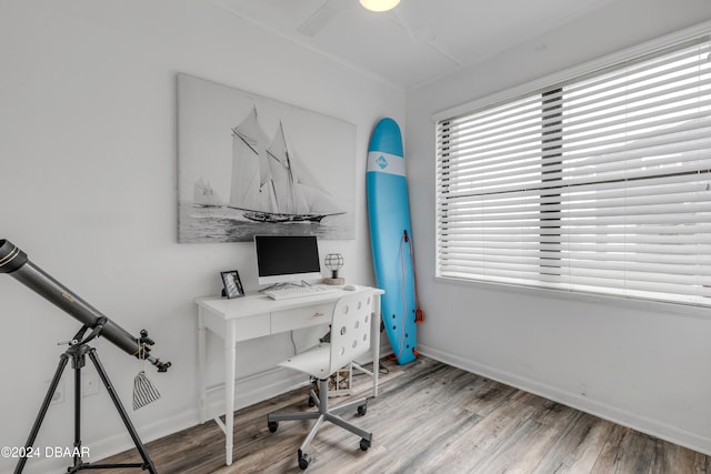 office space with ceiling fan and light hardwood / wood-style flooring