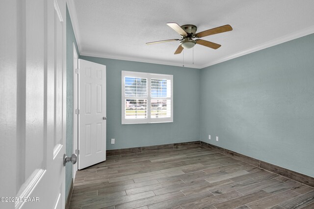 800 Lora St, Daytona Beach, FL 32114 - photo 19
