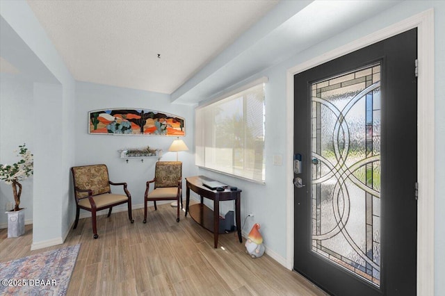 217 Royal Dunes Cir, Ormond Beach, FL 32176 - entryway featuring light wood-style flooring and baseboards