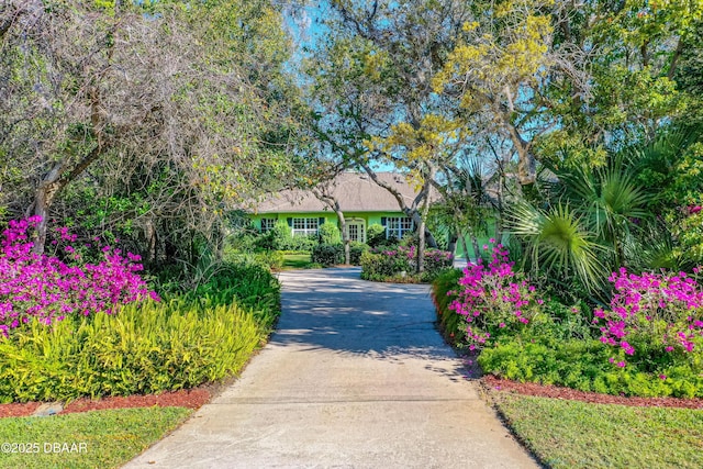 view of community featuring driveway