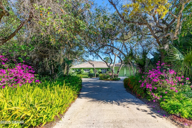 view of road featuring aphalt driveway