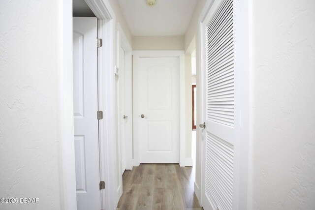 128 Golden Eye Dr Unit B, Daytona Beach, FL 32119 - photo 19