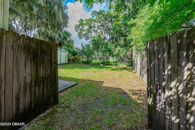 view of yard featuring a storage shed