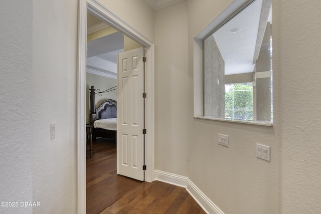 123 Squirrel Ln, Ormond Beach, FL 32174 - photo 35