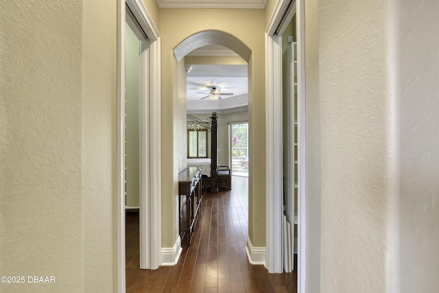 123 Squirrel Ln, Ormond Beach, FL 32174 - photo 44