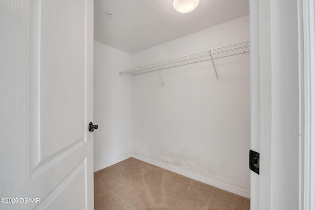 walk in closet featuring carpet