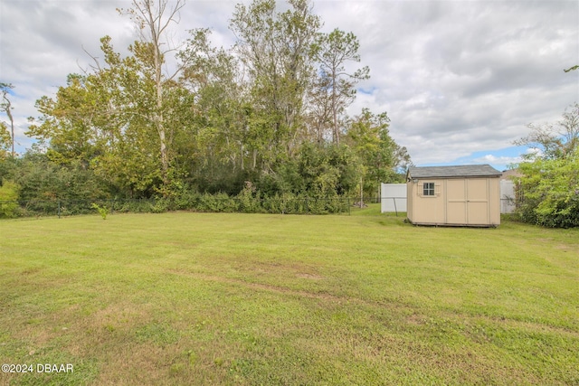 view of yard featuring a storage unit