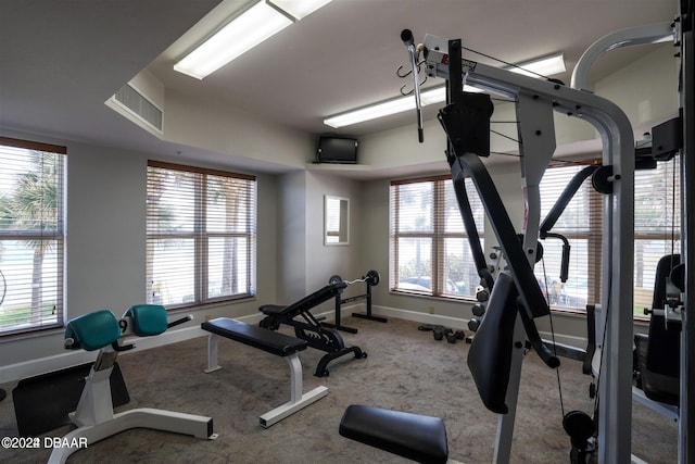 exercise room with carpet