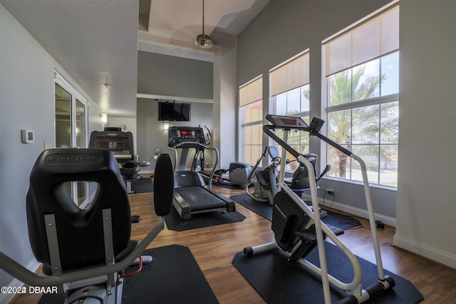 exercise room featuring wood-type flooring